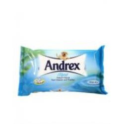 Andrex Moist Toilet Tissue